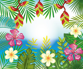 tropical and exotics flowers and leafs over beach background vector illustration design