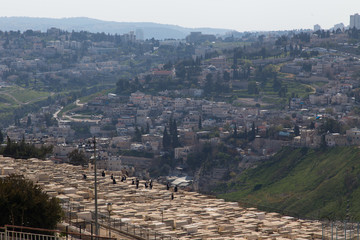 Mount of Olives cemetary