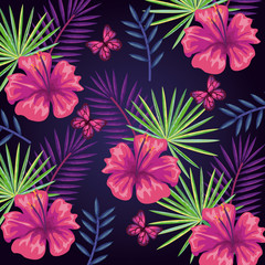 tropical and exotics flowers and leafs vector illustration design