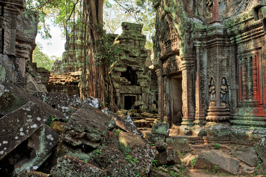 Ta Prohm Temple, Temples of Angkor, Cambodia