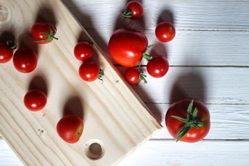 harvest fresh tomato top