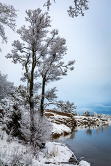 Reflections in the water. Beautiful winter day at Odderoya in Kristiansand, Norway. Trees covered in snow.