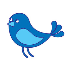 cute bird animal wildlife image vector illustration blue design image
