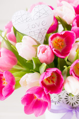 Obraz na płótnie Canvas Pink tulip on the white background. Easter background