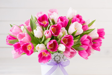 Pink tulip on the white background. Easter background