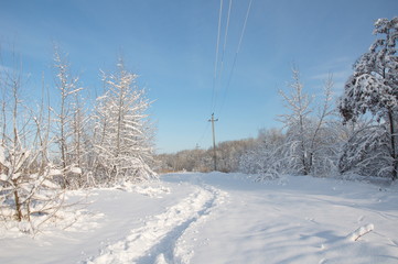 Footpath in the snow. Winter landscape.