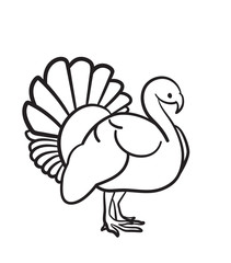 Thanksgiving day turkey sketch doodle icon for web, mobile and infographics. Hand drawn turkey vector icon isolated on white background.