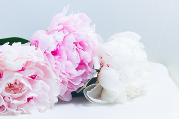 Pink floral background