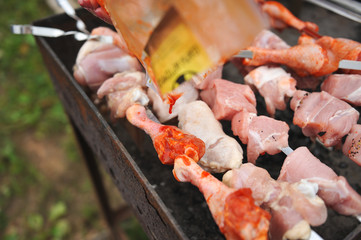 Closeup of grilled skewers
