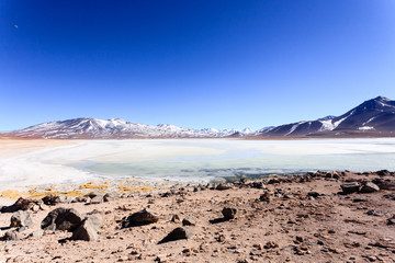Laguna Blanca landscape,Bolivia
