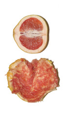 crushed fruit:  grapefruit in bad condition