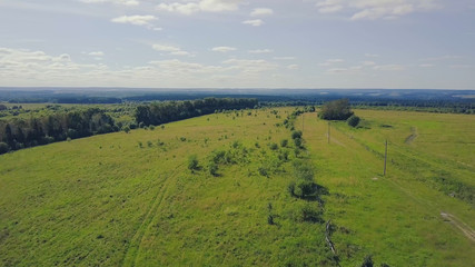 Obraz premium Pine trees green meadows and blue sky with clouds. Clip. Top view of the green field with forest