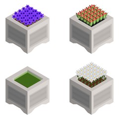 isometric flower beds with bright colors