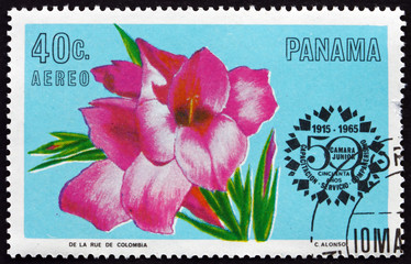 Postage stamp Panama 1966 flower of gladiolus