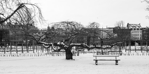 Kongens Have in Copenhagen, a park in Denmark Winter.