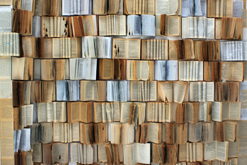 Obraz premium Many old torn and charred books