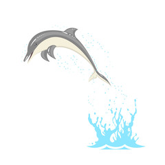 Jumping dolphin in the spray of water.