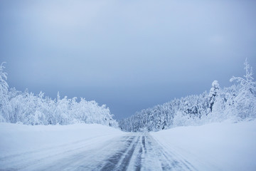 Fototapeta na wymiar Snowy road surrounded by pine trees