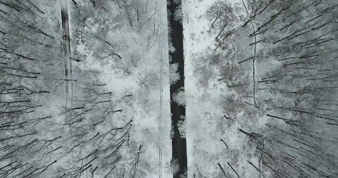 Beautiful drone shot of a road in a forest with snow