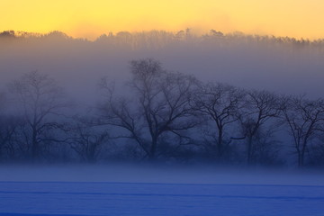 Obraz premium 冬の北上川