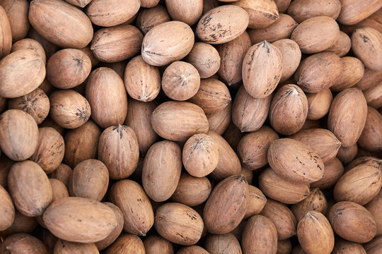 Pecans Santa Monica Farmers Market