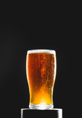 Brown Red Ale Homebrew Beer Pint