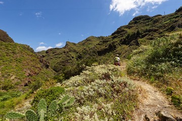 Teneriffa - Wandern im Anaga-Gebirge