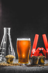Homebrew Honey Brown Beer, Different Barley and Brewing Equipment