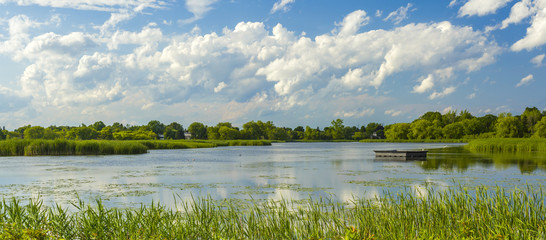 Summer landscape of park on the shore of a pond