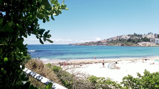 Revealing a beach, behind a bush, on a sunny summer day, at Coogee beach, in Sydney, Australia