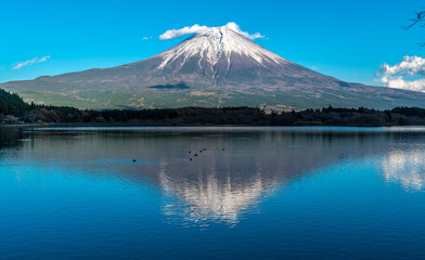 Beautiful clear sky Sunset, ducks swimming at Tanuki Lake(Tanukiko). Fuji mountain reflections, first snow in autumn season. Located near Tokai Nature Trail, Shizuoka prefecture, Fujinomiya-shi, Japan