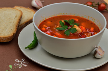 Freshly cooked hungarian goulash in the bowl