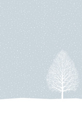 冬の風景　木立