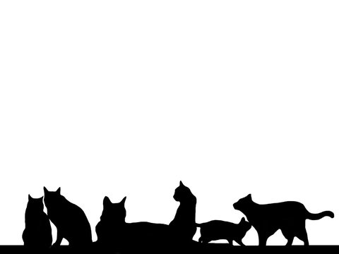 6,428 BEST イラスト、ネコ、猫 IMAGES, STOCK PHOTOS u0026 VECTORS Adobe