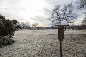 All Is Frozen