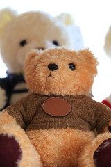 Close up doll of brown bear.