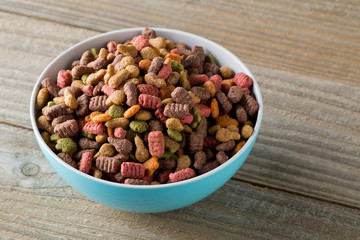 Heap of dry pet food in blue plastic bowl