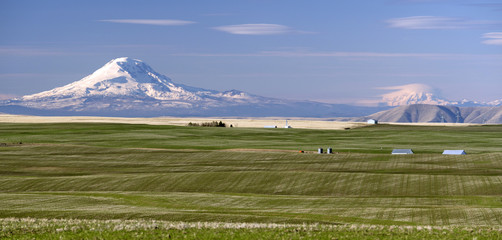 Mount Adams Mt Rainier Farm Agriculture Oregon Landscape