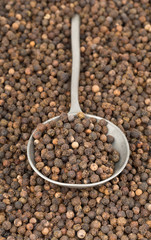 Raw, natural, unprocessed black pepper peppercorns in metal spoon on peppercorns