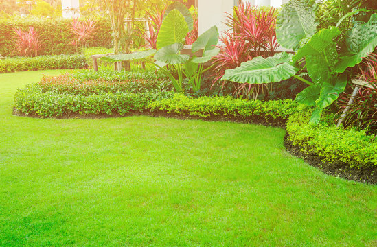 Landscape formal, Front yard is beautifully designed garden, Garden design and lawn for background