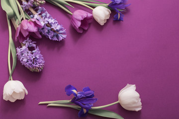 beautiful flowers on paper background