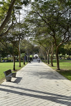 Park view in Zabeel park, Dubai, United Arab emirates