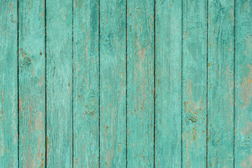 Light green texture background wooden old boards with peeling paint.