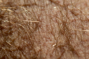 human skin texture