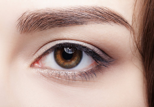 Closeup macro shot of  human brown female eye. Woman with natural nude face beauty makeup