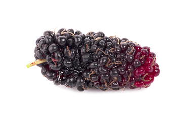 Mulberry fruit, Mulberry isolated on white background.