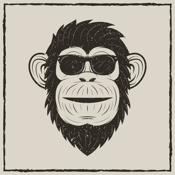 Monkey in sunglasses vector grunge t-shirt printing design