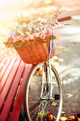 Bike with basket of spring flowers in park near bench in sunlight in sunset or sunrise. Beginning of new season of discounts.