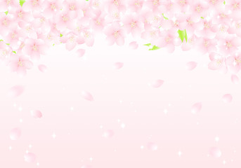 サクラの花のアーチ　桜吹雪　イラスト
