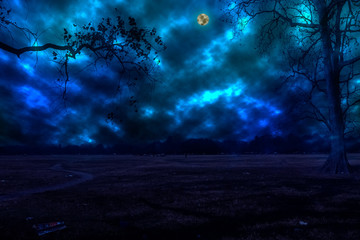 Night background sky.  The photo is generated from a camera photo using image processing software. It consist 8 layers.